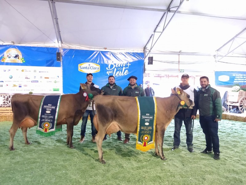 Clientes BrVet vencem torneio de gado leiteiro na XIV TECNOCLARA
